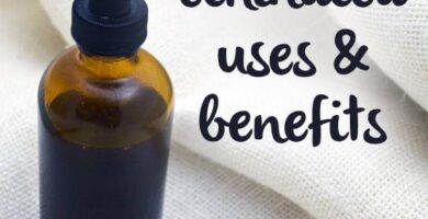 Beneficios de la equinácea: un potente remedio natural (+ ¡Precaución!)