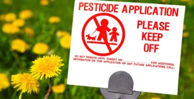 ¿Son seguros los fertilizantes, herbicidas y pesticidas para su césped?