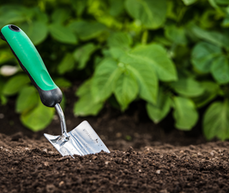 Cómo preparar el suelo para la jardinería de primavera